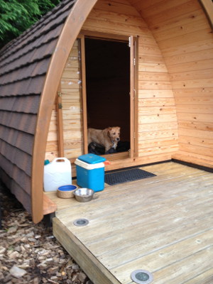 camping pod dog